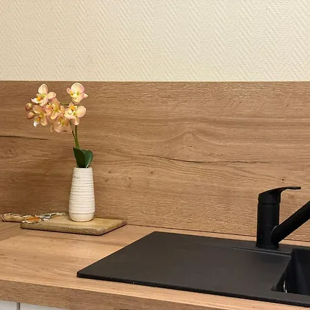 公寓 T2 Chic & Lumineux Centre-ville 巴勒迪克