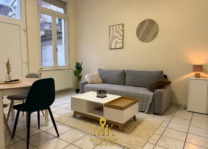 T2 Chic & Lumineux Centre-ville 公寓 *