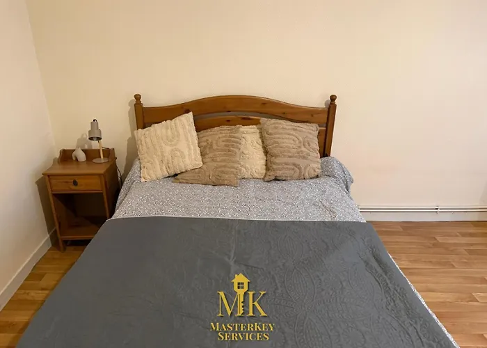 T2 Chic & Lumineux Centre-ville * 巴勒迪克