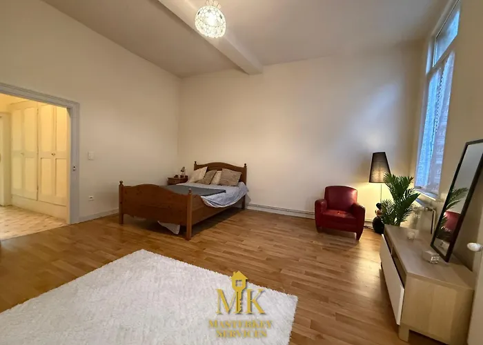 T2 Chic & Lumineux Centre-ville Bar-le-Duc