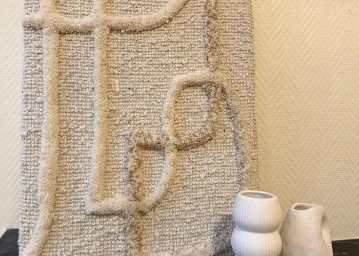 T2 Chic & Lumineux Centre-ville 巴勒迪克