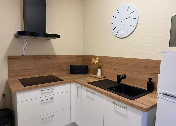 T2 Chic & Lumineux Centre-ville 巴勒迪克