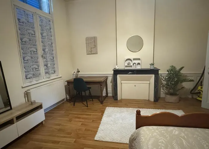 T2 Chic & Lumineux Centre-ville 公寓